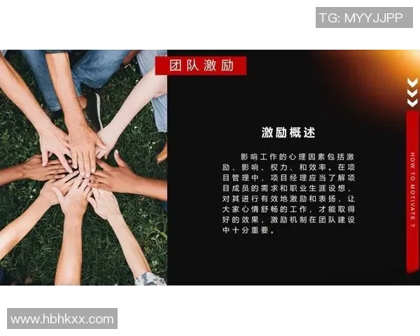 广州排球队的精神追求与团队意识深度剖析