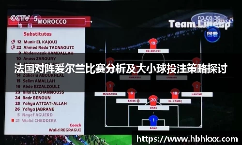 法国对阵爱尔兰比赛分析及大小球投注策略探讨